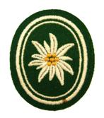 Patch - embleem Duitsland Gebirgsjager, Verzenden, Landmacht, Duitsland, Embleem of Badge