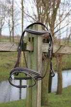 Norton Hoofdstel met verwisselbare onderleggers, maat Pony, Dieren en Toebehoren, Paarden en Pony's | Hoofdstellen en Tuigage