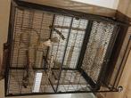 Kooi, Dieren en Toebehoren, Vogels | Hokken en Kooien, Ophalen, Gebruikt, Metaal, Vogelkooi