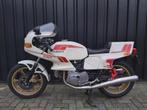 Ducati 600 SL Pantah, Motoren, 583 cc, Bedrijf, Super Sport, Meer dan 35 kW