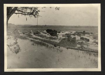 WOII foto : Russland Vormarsch Panzer Rokitno Sümpfe beschikbaar voor biedingen