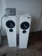 Linear Audio vloerstaande speakers + mini-versterker, Gebruikt, 120 watt of meer, Front, Rear of Stereo speakers, Ophalen