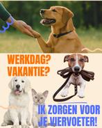 Liefdevolle dierenoppas & hondenuitlaatservice aan huis, Dieren en Toebehoren, Overige Dieren, Vrouwelijk, Voor 1 juli 2024