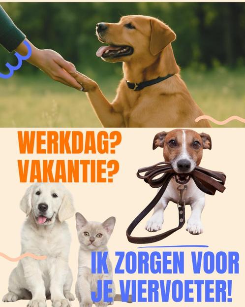 Liefdevolle dierenoppas & hondenuitlaatservice aan huis, Dieren en Toebehoren, Overige Dieren, Vrouwelijk