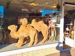 Etalagefiguren kamelen themafeest dieren kameel etalage, Ophalen of Verzenden
