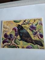 SPREEUW, Ophalen of Verzenden, Sterren en Beroemdheden