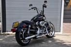 Harley Davidson XL 883 L Sportster Low 5HD XL883L, Chopper, Bedrijf, 883 cc, Info@witteveenmotoren.nl
