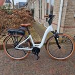 Nieuwe Riese Muller Swing Bosch Performance Beltaandrijving, Nieuw, 50 km per accu of meer, 55 tot 59 cm, Ophalen