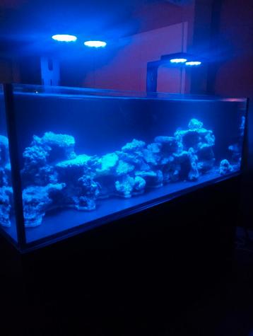 Waterbox 220.6 aquarium 183,6X65X60 beschikbaar voor biedingen