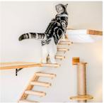 Fukumaru Cat Climbing Stairway (2 sets) | klimmeubel, Dieren en Toebehoren, Ophalen of Verzenden, Nieuw