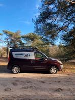 Hondenuitlaatservice in Nijverdal, Ophalen