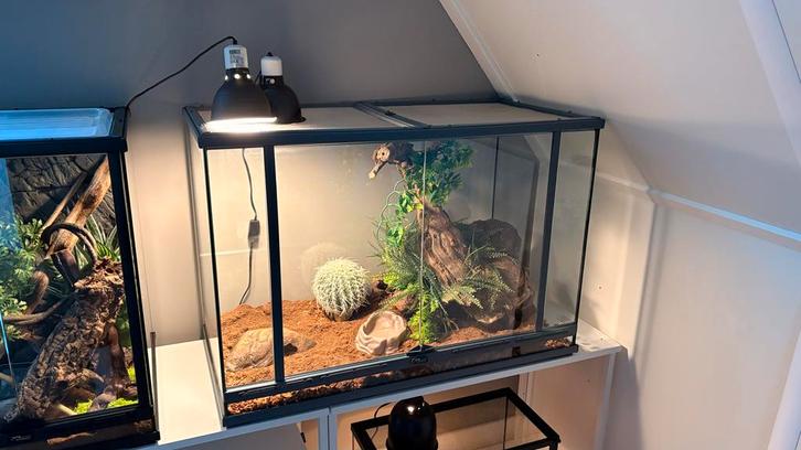 Terratlantis terrarium 90x60x45 topkwaliteit, zgan, Dieren en Toebehoren, Reptielen en Amfibieën | Toebehoren, Zo goed als nieuw