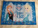 Frozen collectie, Ophalen of Verzenden, Zo goed als nieuw, Kleed of Kussen