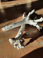 Decoratief stuk drijfhout, Huis en Inrichting, Woonaccessoires | Wanddecoraties, Ophalen of Verzenden