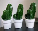 Porselein cactus plantjes, Ophalen of Verzenden, Nieuw
