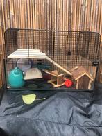 Hamster kooien met toebehoren, Dieren en Toebehoren, Knaagdieren en Konijnen | Hokken en Kooien, Kooi, Minder dan 75 cm, Hamster