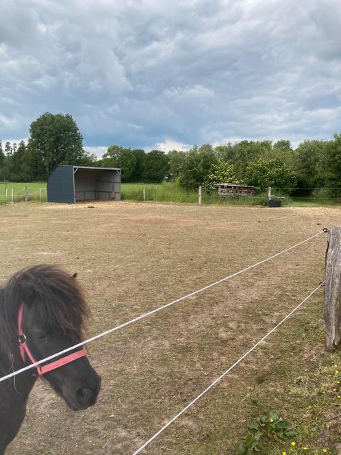 Fijn 24-7 buiten plekje aangeboden., Dieren en Toebehoren, Stalling en Weidegang, Weidegang, 1 paard of pony