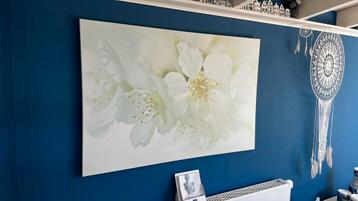 Canvas poster. beschikbaar voor biedingen