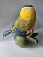 Pimpelmees, Ophalen of Verzenden, Zo goed als nieuw, Dier