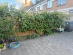 Druiven, Ophalen of Verzenden, Minder dan 100 cm