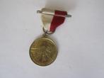 medaille schaatsen, Postzegels en Munten, Ophalen of Verzenden, Overige materialen, Nederland