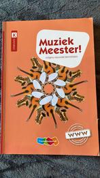 Rinze van der Lei - Muziek Meester!, Rinze van der Lei; Lieuwe Noordam; Frans Haverkort, Ophalen of Verzenden, Zo goed als nieuw
