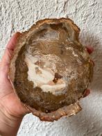 Versteend Hout Plak - Prachtig Exemplaar!, Ophalen of Verzenden, Fossiel