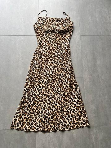 Super leuke Mango leopard jurk! beschikbaar voor biedingen
