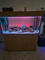 Groot compleet aquarium 125100,545 cm – incl. pomp, verwar, Ophalen, Leeg aquarium