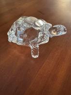 Kristal kleine schildpad, Ophalen, Zo goed als nieuw, Figuurtje