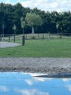 Boom beschermer Gegalvaniseerd staal 8 stuks, Ophalen of Verzenden, Bloeit niet, Overige soorten