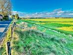 Weiland te huur (2500 m2), Dieren en Toebehoren, Stalling en Weidegang, Weidegang, 2 of 3 paarden of pony's