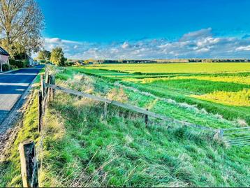 Weiland te huur (2500 m2) beschikbaar voor biedingen