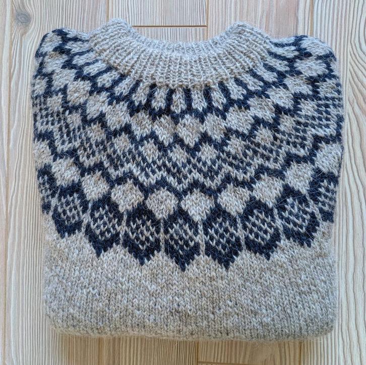 IJslandse trui 100% IJslandse wol, Kleding | Dames, Truien en Vesten, Nieuw, Ophalen of Verzenden