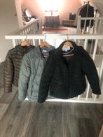 Dames winter jassen, Ophalen of Verzenden, Zo goed als nieuw, Zwart