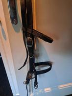 Bitloos rijhalster full, Dieren en Toebehoren, Ophalen of Verzenden, Zo goed als nieuw