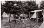 Bosschenhoofd (N.Br.) Camping Hoeven 1969., Verzenden, 1960 tot 1980, Ongelopen, Noord-Brabant