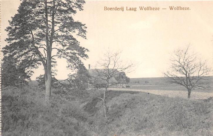 W263 Wolfheze Boerderij Laag Wolfheze, Verzamelen, Ansichtkaarten | Nederland, Gelderland, 1920 tot 1940, Ophalen of Verzenden