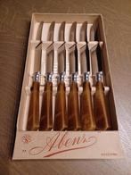 VINTAGE DINERMESSEN 'ABENZ' IN ORIGINELE DOOS, Ophalen of Verzenden, Zo goed als nieuw, Rvs of Chroom