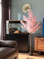 Knaagdier terrarium + kast (ophalen ik Goes), Ophalen of Verzenden, Zo goed als nieuw