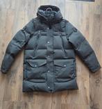 Chasin Explorer winterjas  parka donkergroen maat S, Chasin, Ophalen of Verzenden, Zo goed als nieuw, Groen