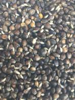 Hennep, Info@twisterboilies.nl, Twisterboilies, 7609xj, Overige typen