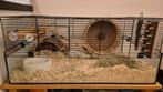 Hamsterkooi + benodigdheden, Kooi, Minder dan 75 cm, Hamster, Ophalen