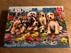 Jumbo puzzel 1000 stukjes Puppies at the Fence, Ophalen of Verzenden, 500 t/m 1500 stukjes, Zo goed als nieuw