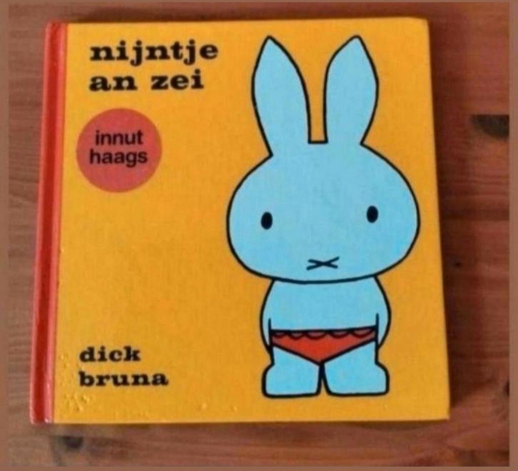 Nijntje aan zee (Haags). Dick Bruna, Ophalen of Verzenden, Zo goed als nieuw, Dick Bruna, 2 tot 3 jaar