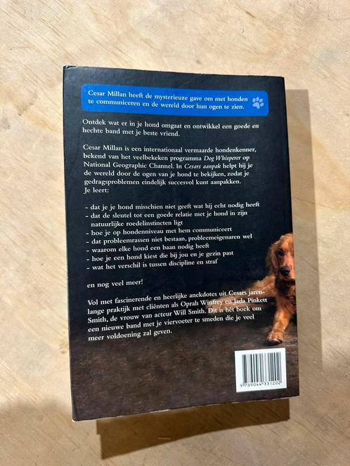 Cesar Millan - Cesars aanpak, Boeken, Dieren en Huisdieren, Zo goed als nieuw, Honden, Ophalen of Verzenden