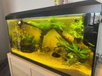 Juwel primo 110 - Met vissen en super veel toebehoren., Dieren en Toebehoren, Ophalen, Zo goed als nieuw, Gevuld zoetwateraquarium