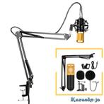 Studio Condensator Microfoon set compleet, Arm, Kabel Etc.