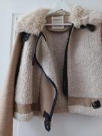 lamy jas, Kleding | Dames, Jassen | Winter, Ophalen of Verzenden, Zo goed als nieuw, Maat 38/40 (M)