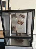 Gazen terrarium, Ophalen